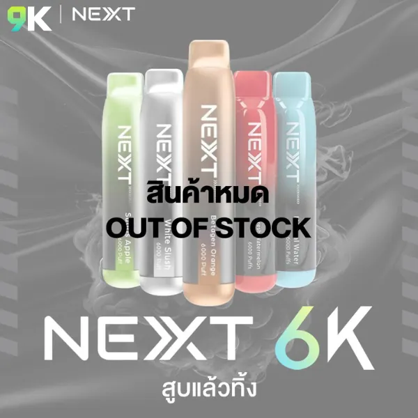 NEXT 6,000 Puffs